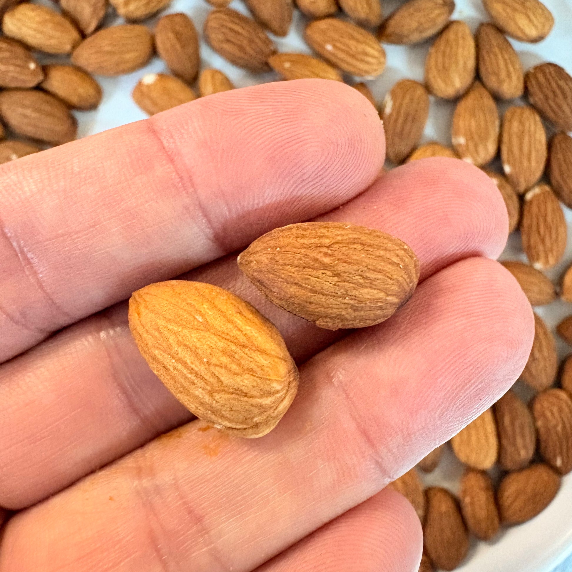 Hand holding two raw almonds with more almonds scattered in the background by OKA-OKA