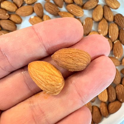 Hand holding two raw almonds with more almonds scattered in the background by OKA-OKA