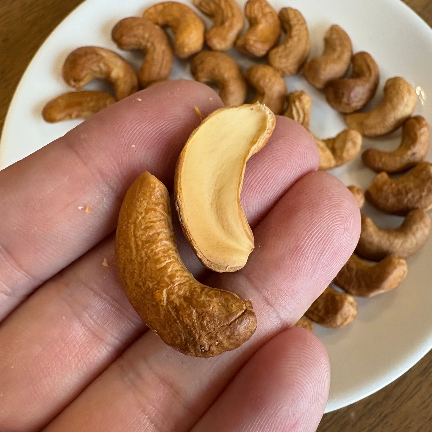 Hand holding healthy handcrafted cashews with other cashews on a plate in the background