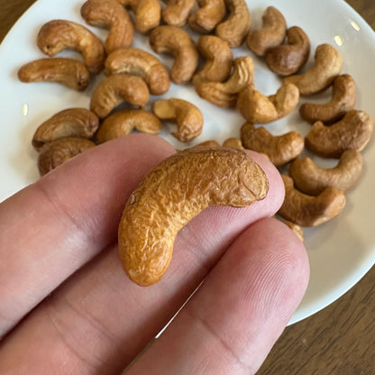 Hand holding a large healthy handcrafted cashew with more cashews on a plate in the background