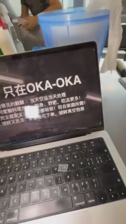 New 刺身级·三文鱼整鱼/半鱼 Salmon Trout