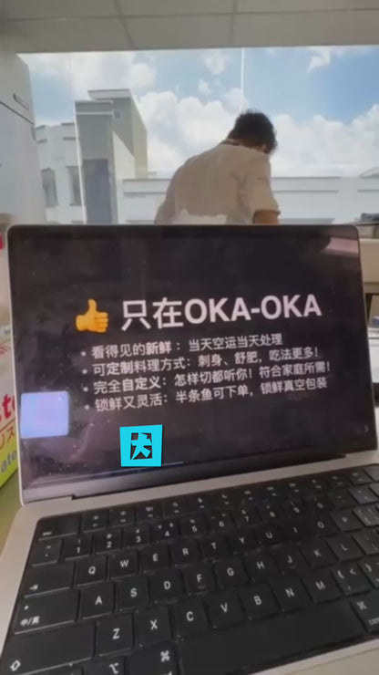 New 刺身级·三文鱼整鱼/半鱼 Salmon Trout