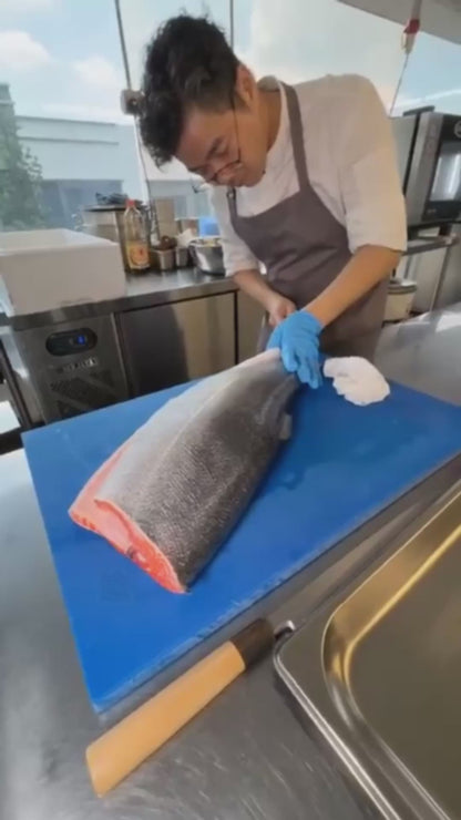 New 刺身级·三文鱼整鱼/半鱼 Salmon Trout
